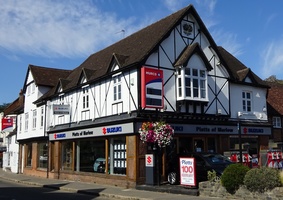 Platts .. Car Sales (Suzuki) & Service, Fuel
